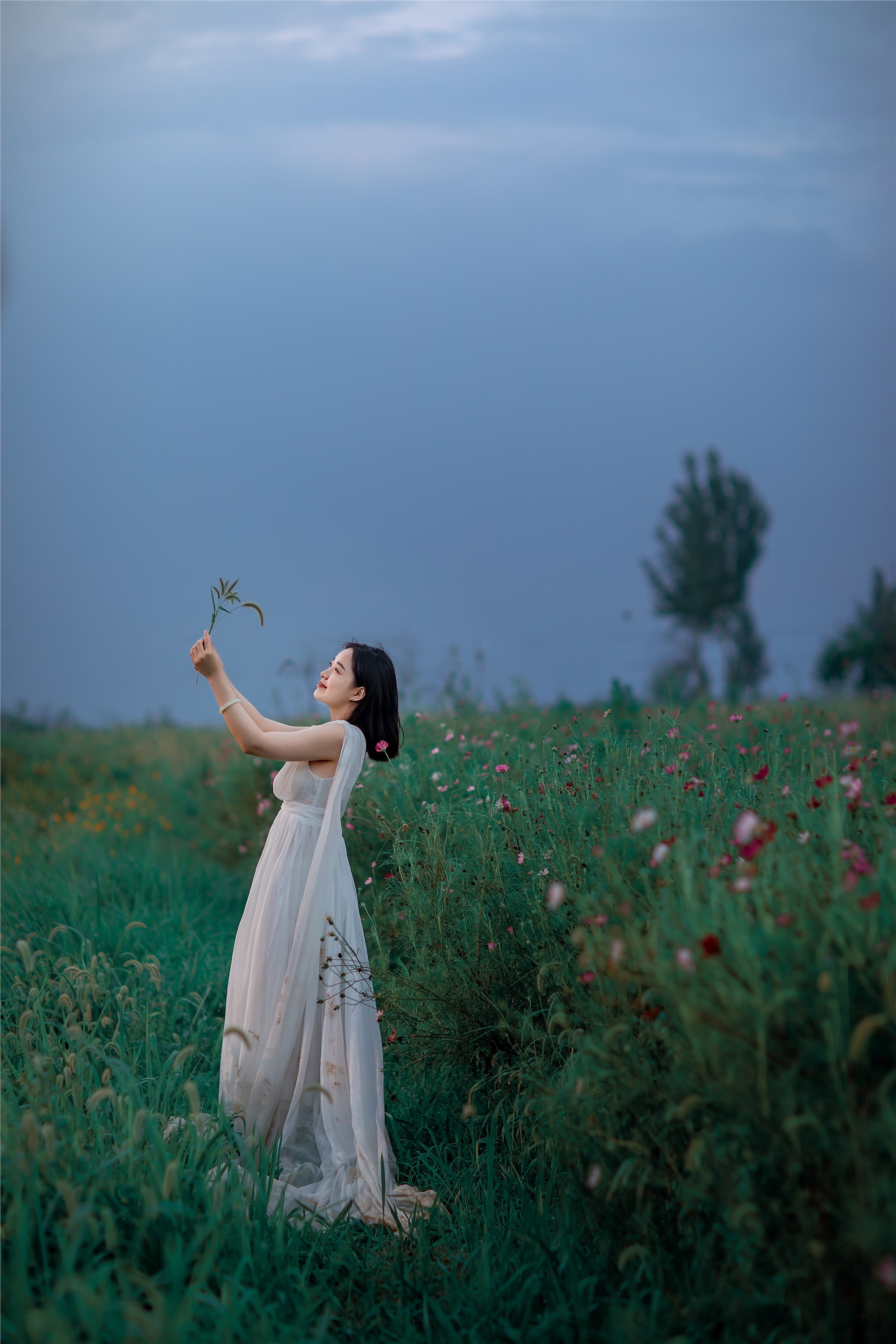 YITUYU艺图语 2021.09.07 格桑花开 媛媛